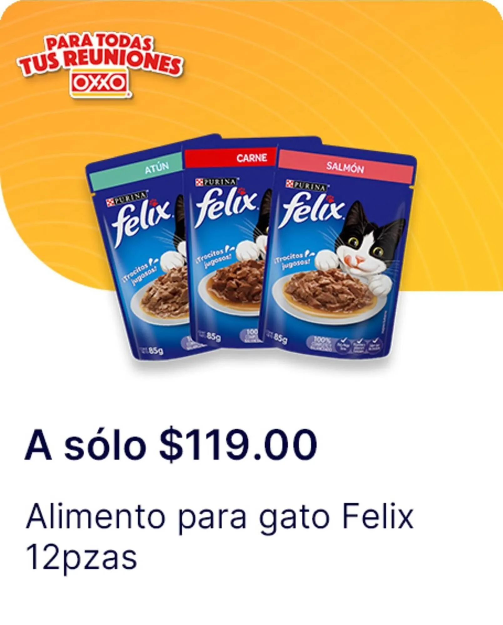 Catálogo de Catálogo OXXO 21 de agosto al 17 de septiembre 2025 - Pagina 109