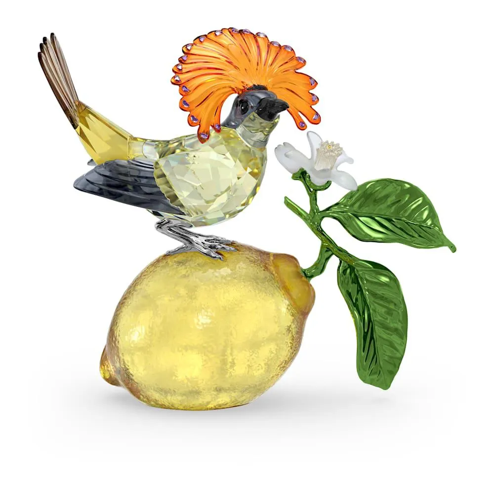 Idyllia Mosquero real