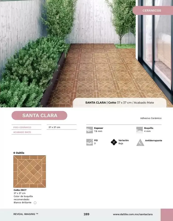 Catálogo de Catalogo 2025 10 de enero al 31 de diciembre 2025 - Pagina 289