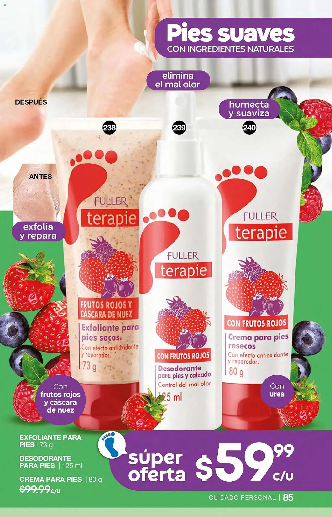 Catálogo de Catálogo Fuller 7 de enero al 28 de enero 2026 - Pagina 85