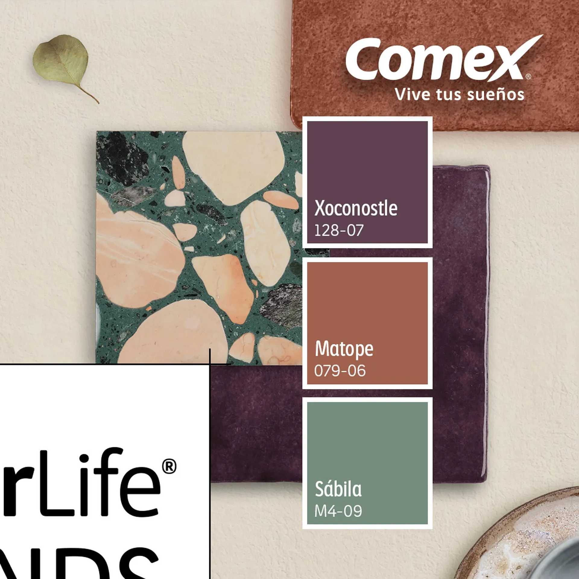 Catálogo de Catálogo Comex 8 de octubre al 15 de octubre 2025 - Pagina 2