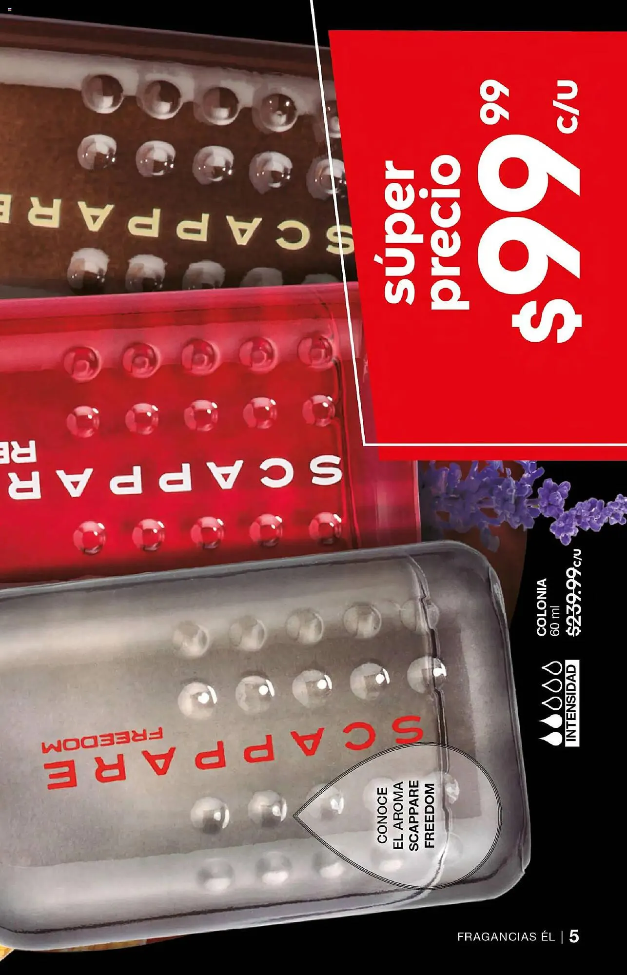 Catálogo de Catálogo Fuller 7 de enero al 28 de enero 2026 - Pagina 5