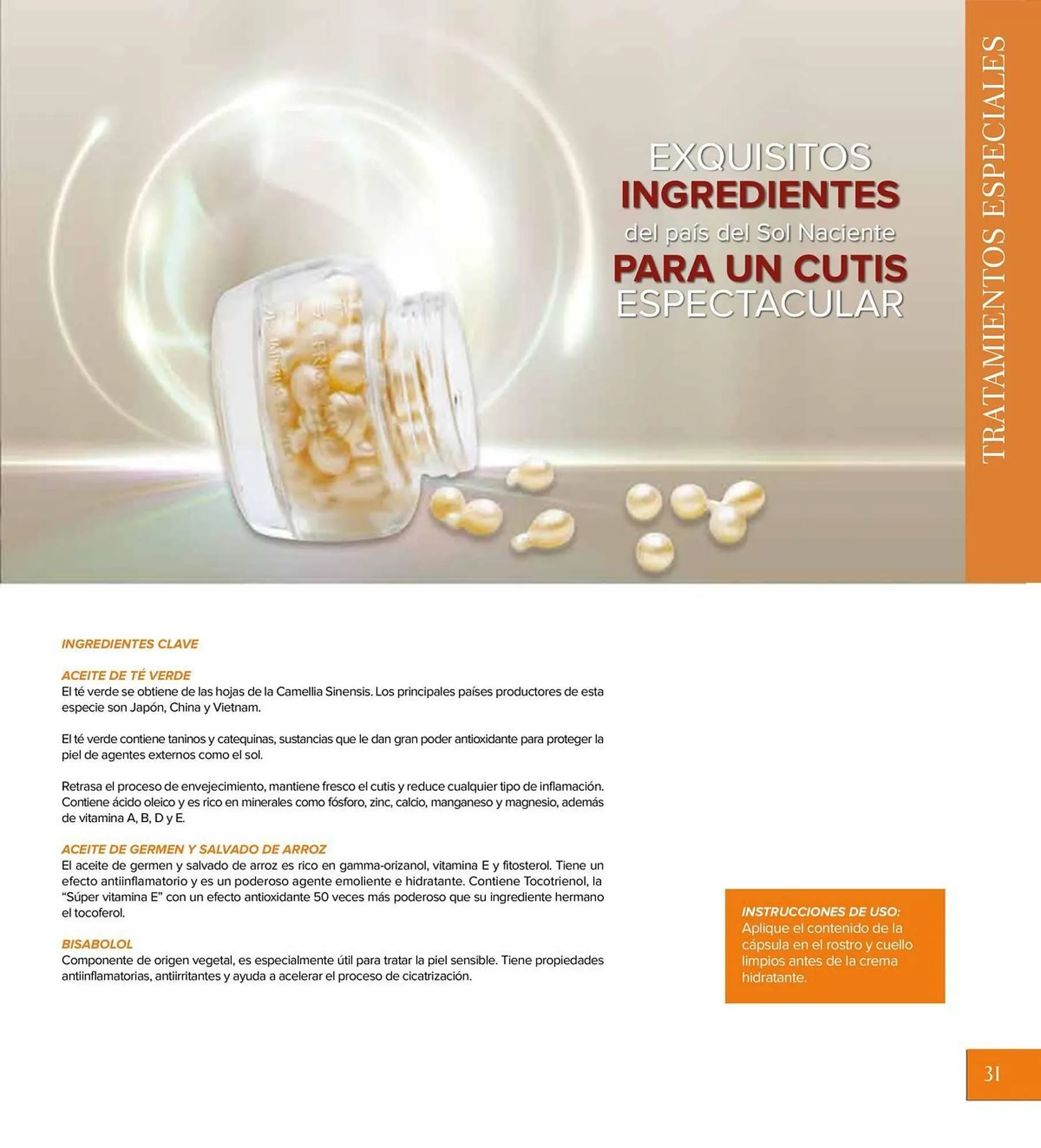 Catálogo de Catálogo Terramar Brands 5 de agosto al 31 de diciembre 2025 - Pagina 31