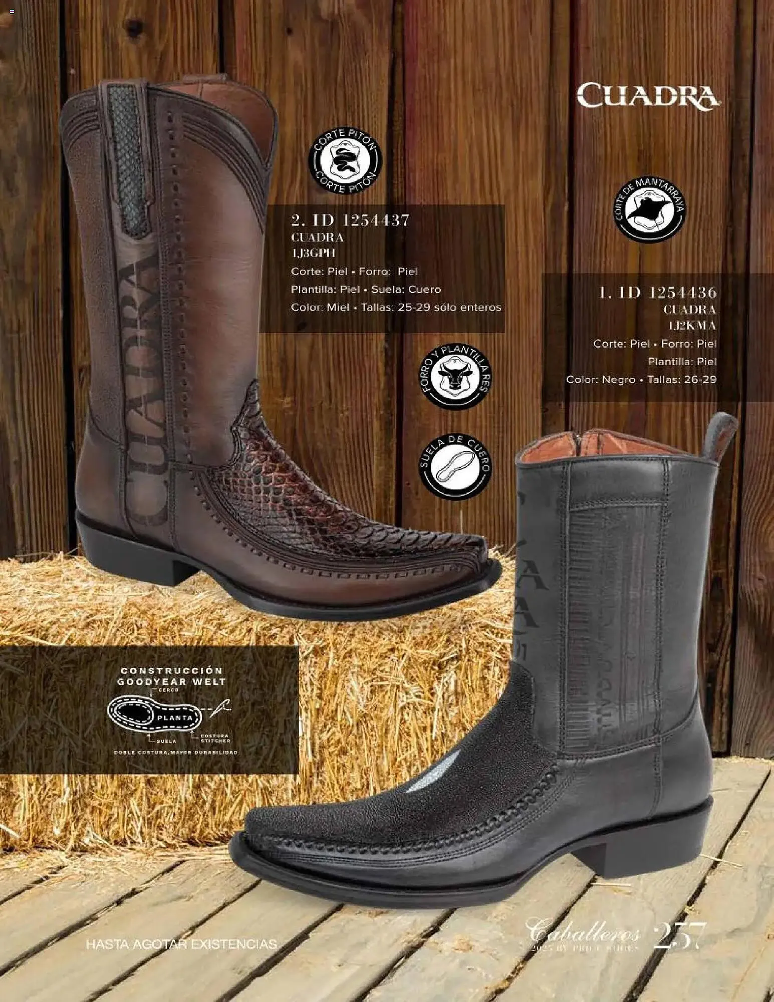 Catálogo de Catálogo Price Shoes 26 de noviembre al 1 de julio 2026 - Pagina 257