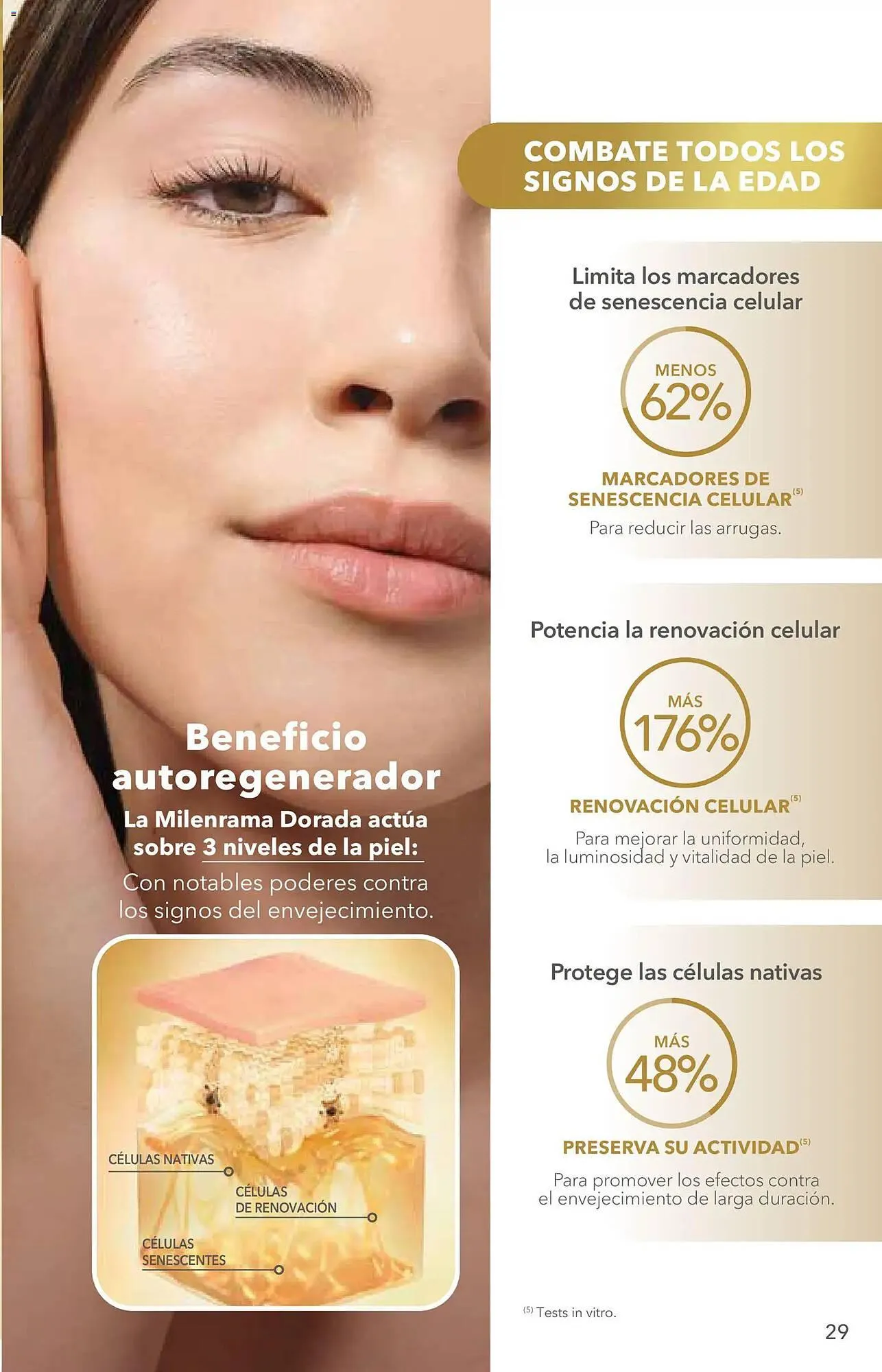 Catálogo de Catálogo Yves Rocher 2 de junio al 22 de junio 2026 - Pagina 29