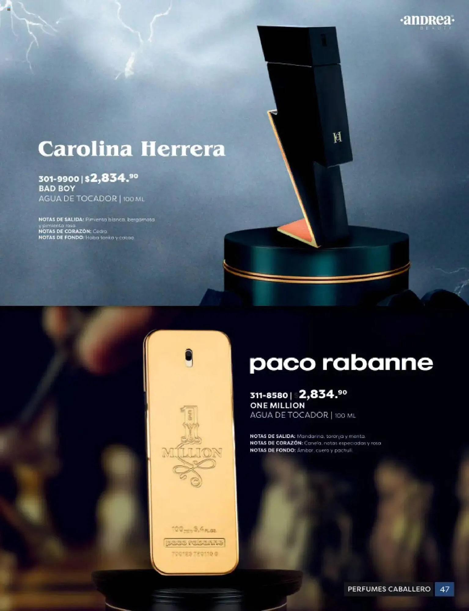 Catálogo de Catálogo Andrea 3 de octubre al 19 de octubre 2025 - Pagina 47