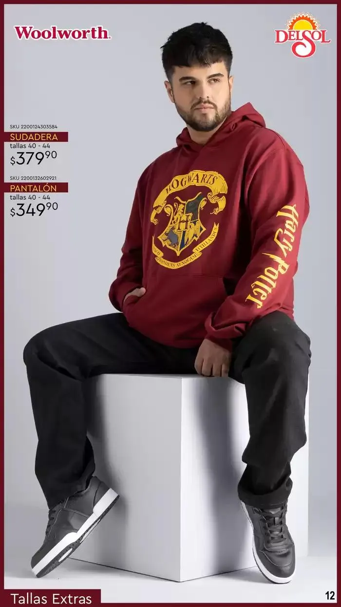 Catálogo de Sudaderas para la familia 4 de octubre al 21 de octubre 2024 - Pagina 12