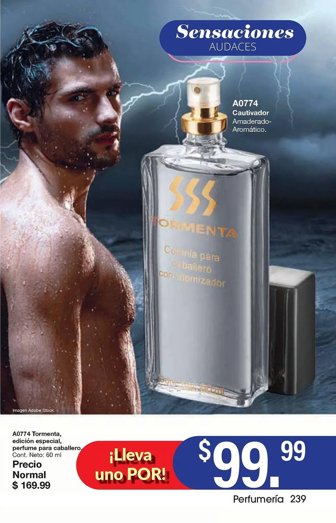 Catálogo de Catálogo Arabela 15 de enero al 5 de febrero 2026 - Pagina 207