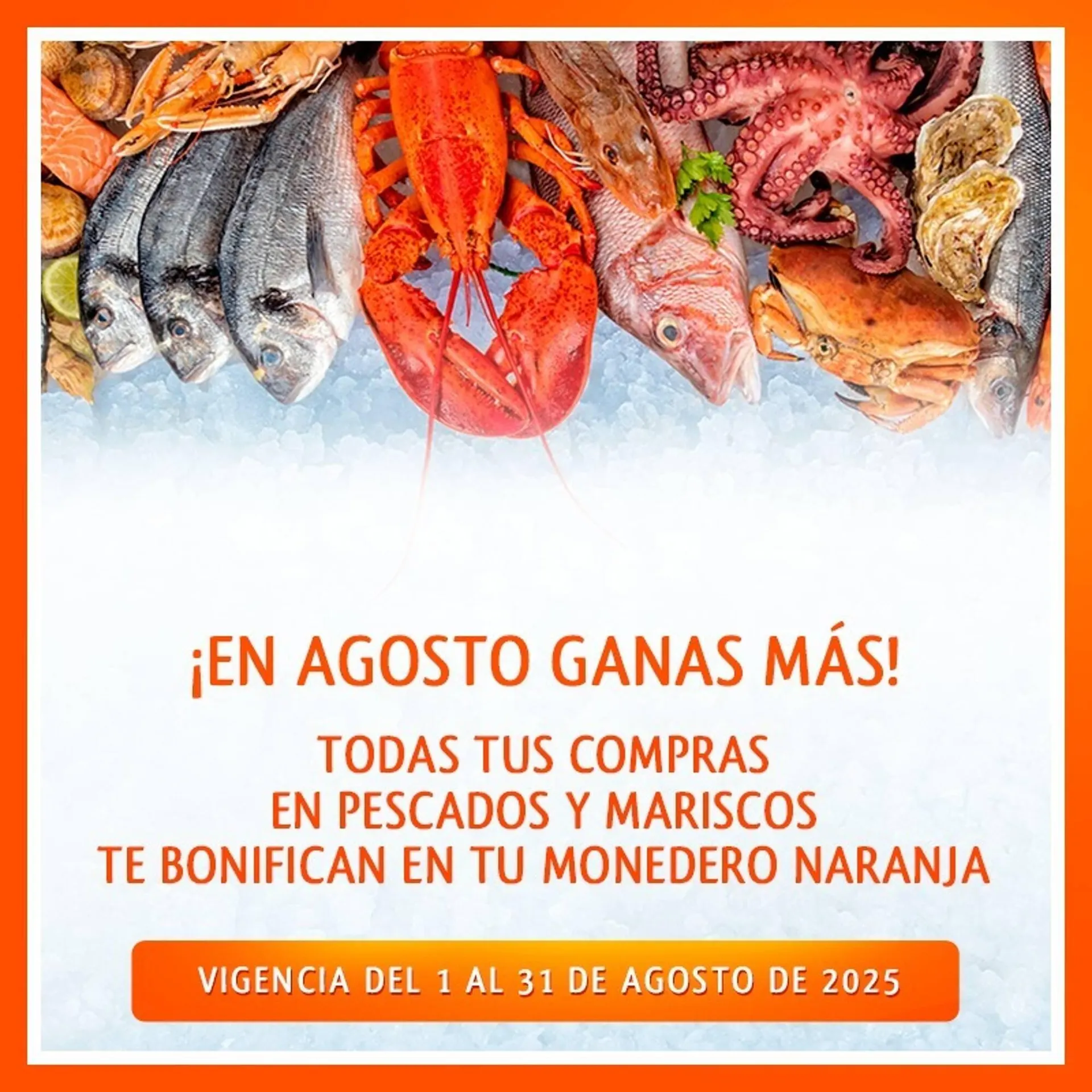 Catálogo de Catálogo La Comer 1 de agosto al 31 de agosto 2025 - Pagina 3