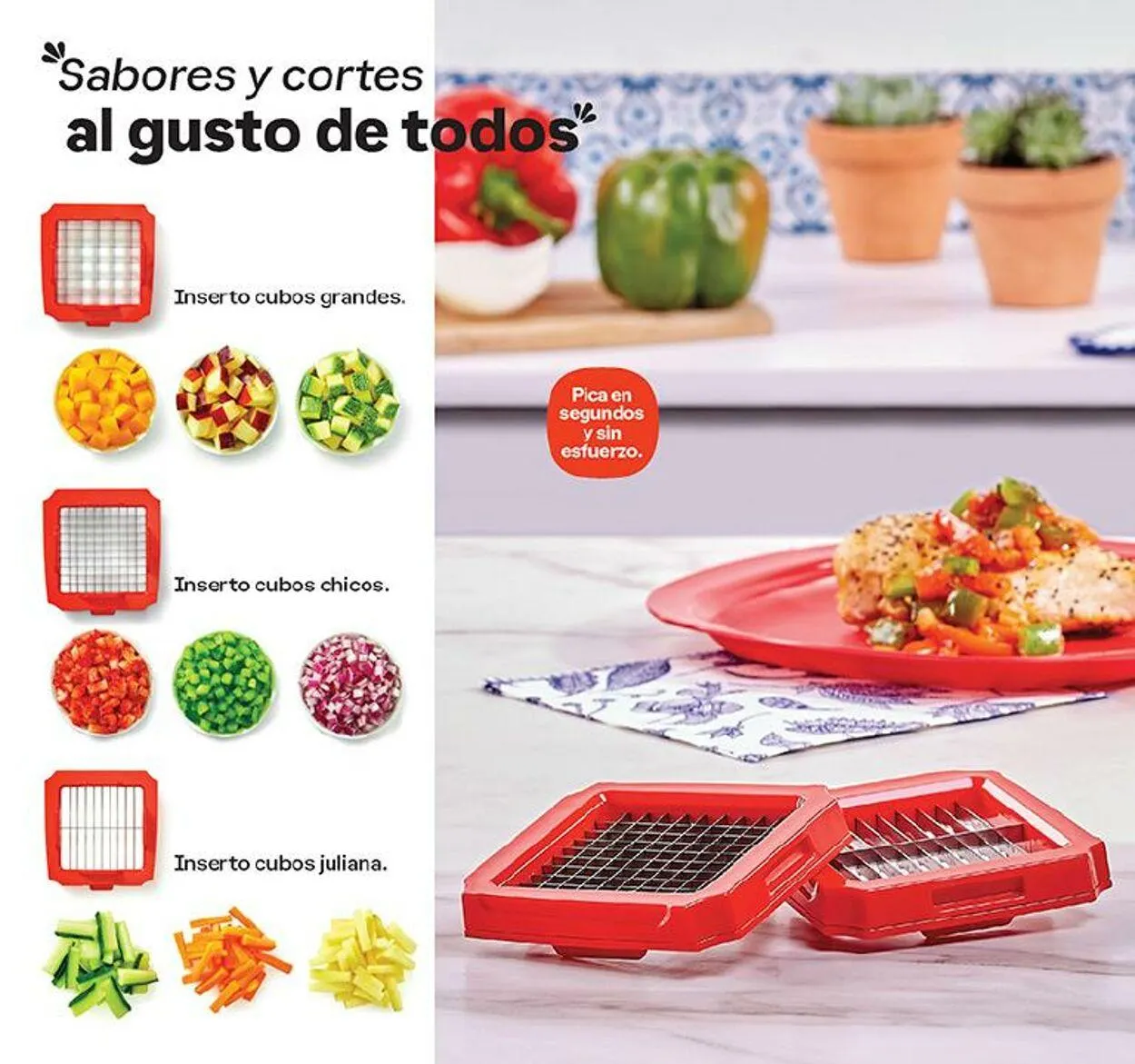 Catálogo de Tupperware 4 de septiembre al 16 de septiembre 2024 - Pagina 102