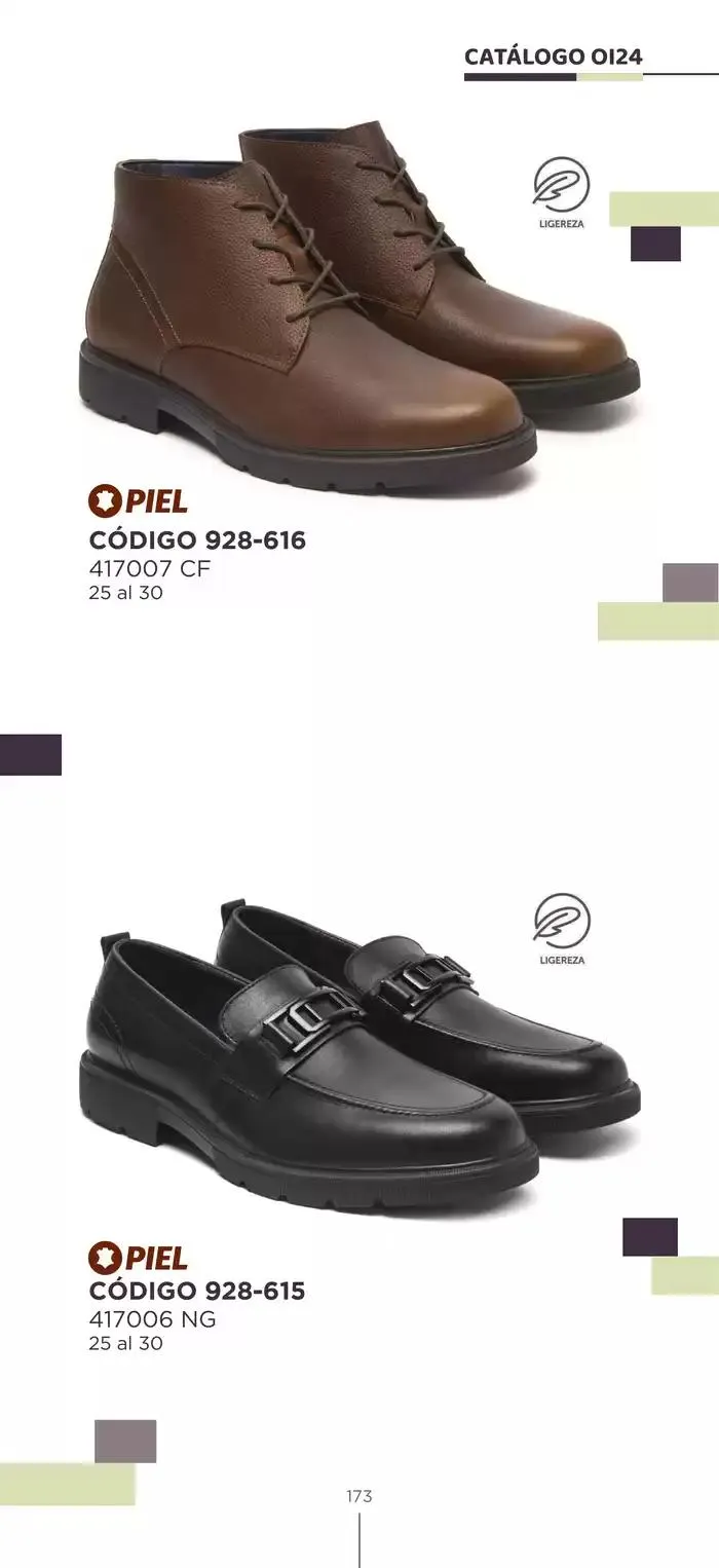 Catálogo de Pakar Flexi 23 de octubre al 31 de enero 2025 - Pagina 173