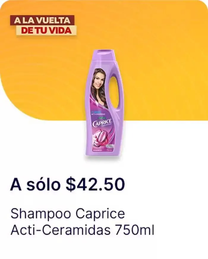 Catálogo de A la vuelta de tu vida 2 de diciembre al 1 de enero 2025 - Pagina 182