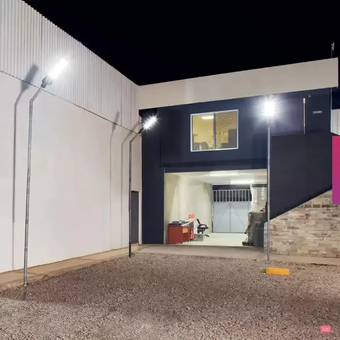 Catálogo de Catálogo 2024 10 de octubre al 31 de enero 2025 - Pagina 301