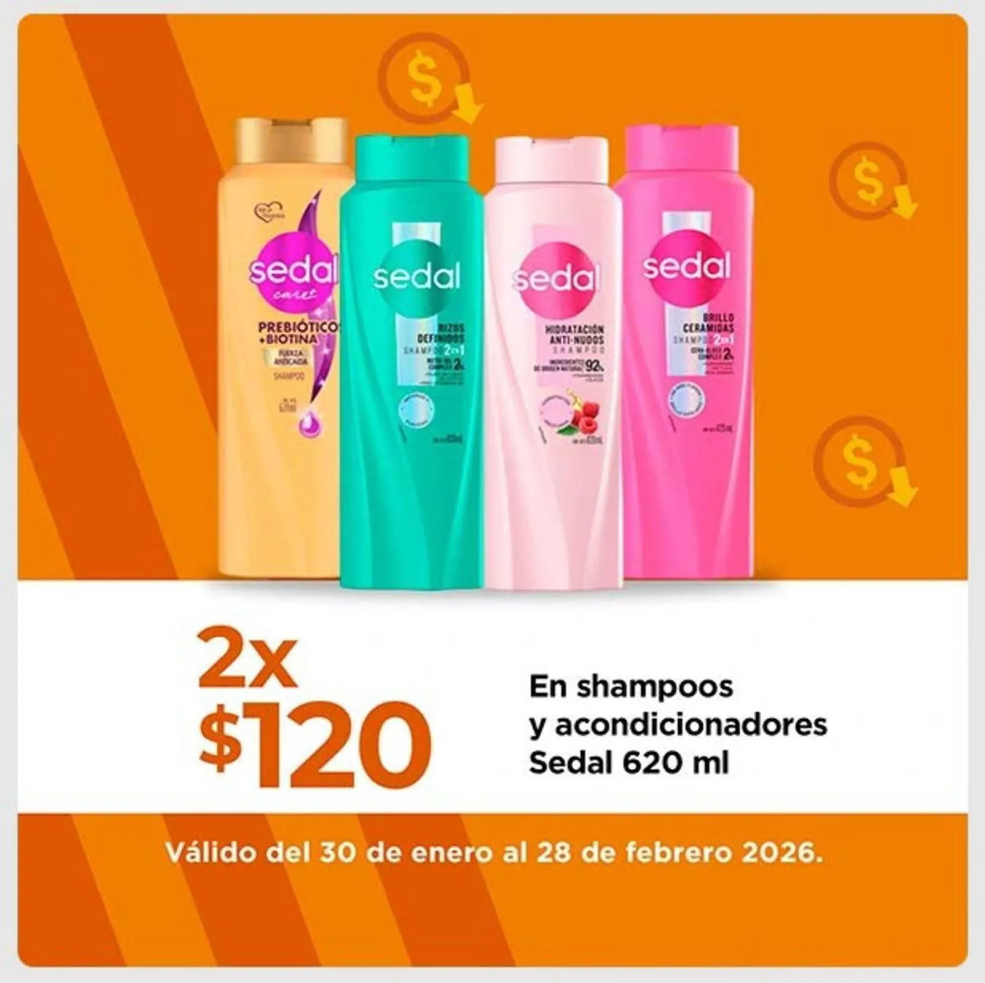 Catálogo de Folleto Chedraui 4 de febrero al 28 de febrero 2026 - Pagina 2