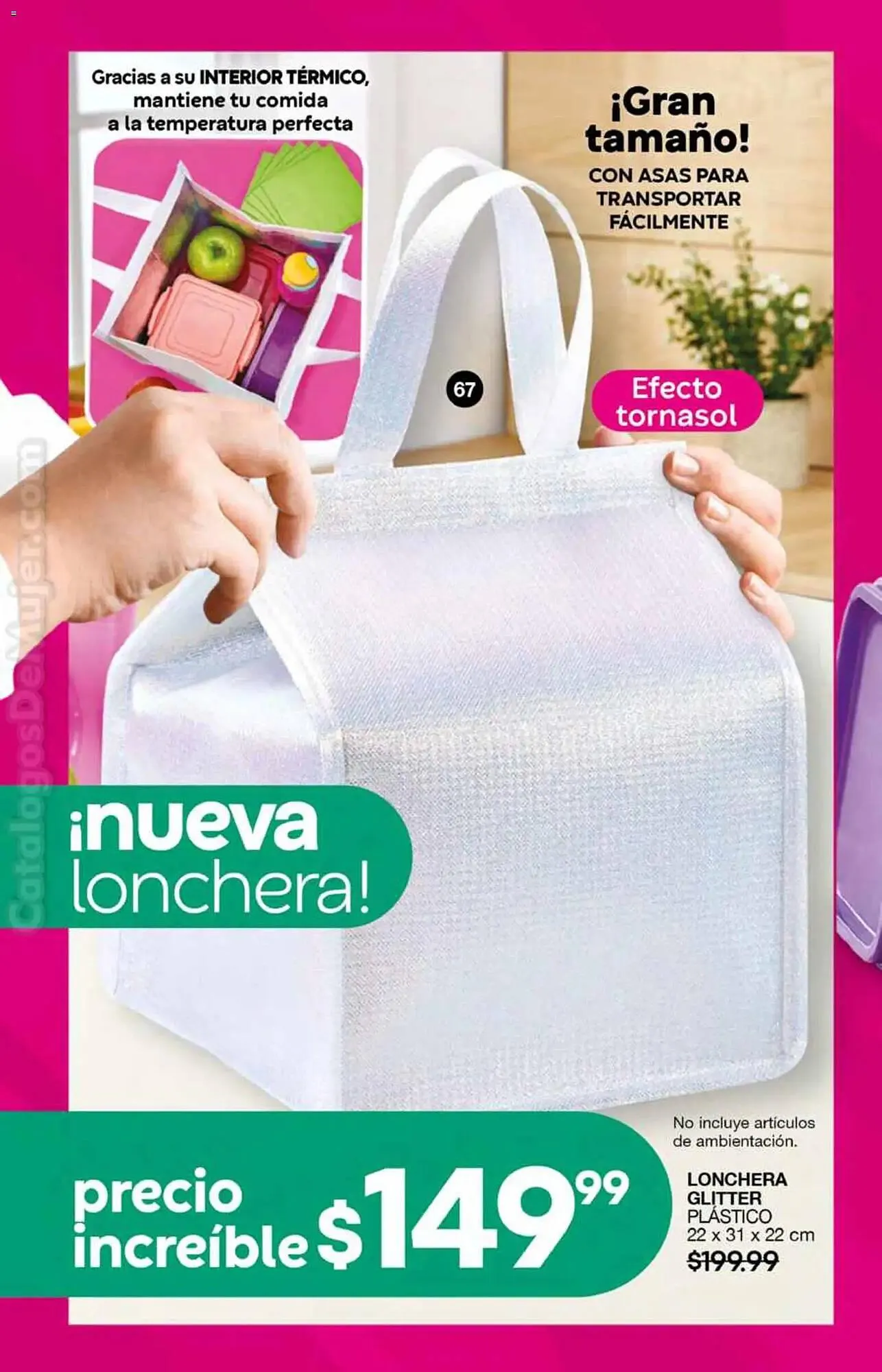 Catálogo de Catálogo Fuller 26 de noviembre al 17 de diciembre 2025 - Pagina 38