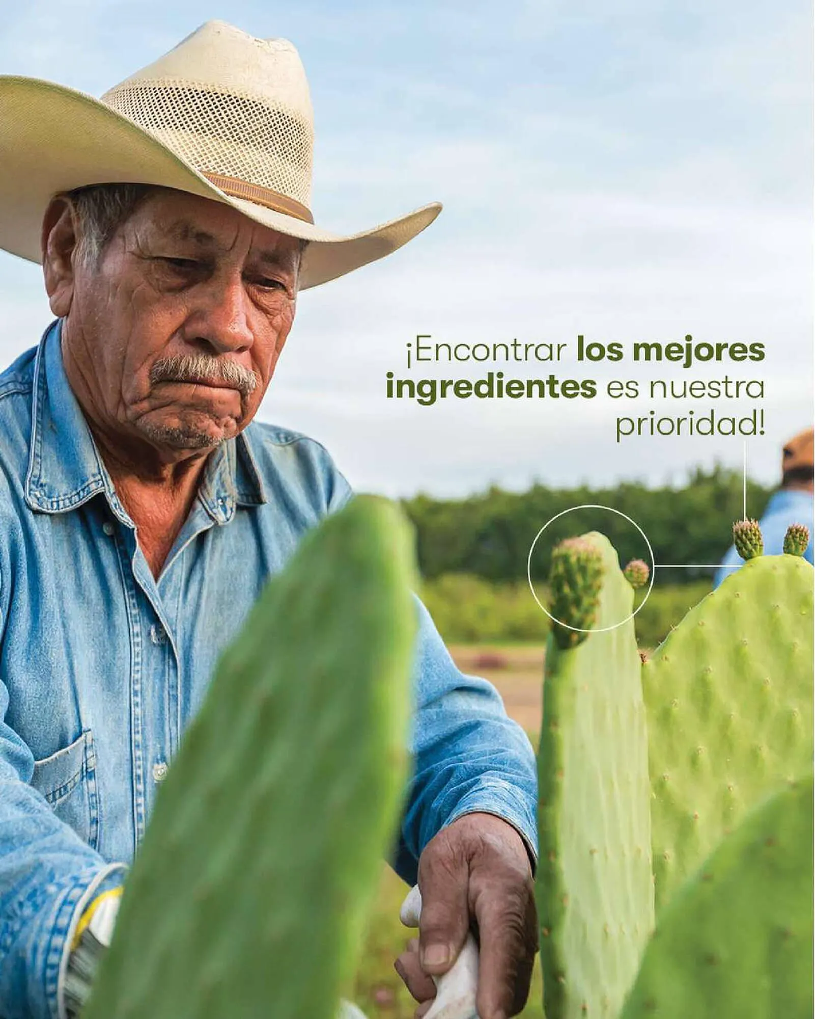 Catálogo de Catálogo Amway 20 de junio al 18 de julio 2023 - Pagina 2