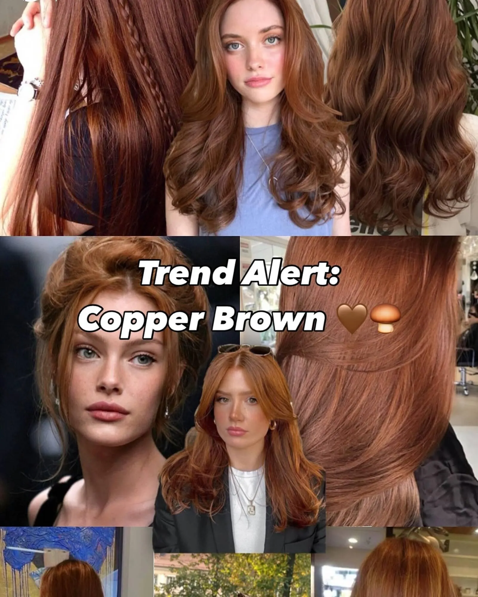 Catálogo Sally Beauty - 1