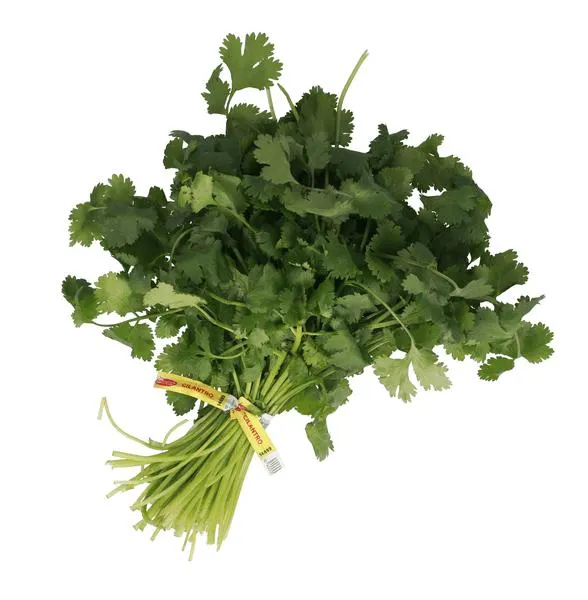 Cilantro Mt 1 Pz