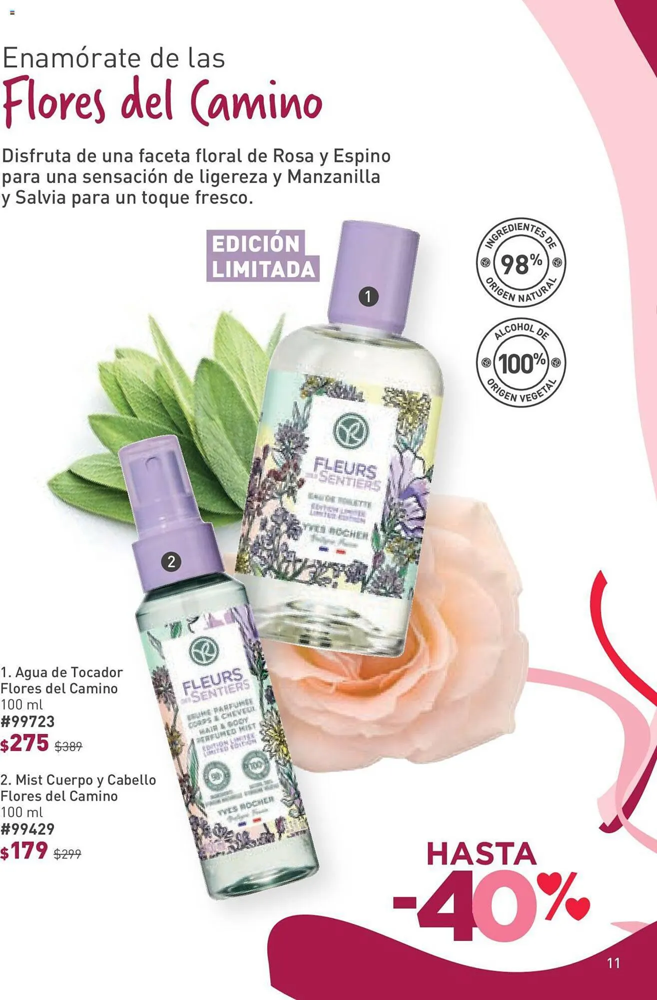 Catálogo de Catálogo Yves Rocher 23 de enero al 12 de febrero 2024 - Pagina 11