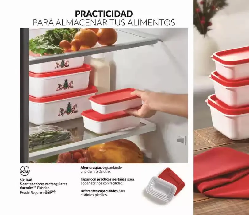 Catálogo de Avon Casa & Estilo C19 28 de octubre al 5 de diciembre 2024 - Pagina 4