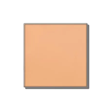 Maquillaje en Polvo Traslúcido Mineral Mary Kay®