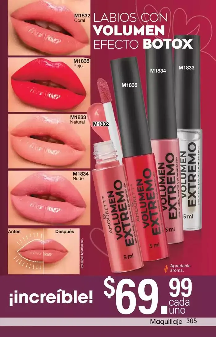 Catálogo de Arabela Campaña 03 10 de enero al 23 de enero 2025 - Pagina 271