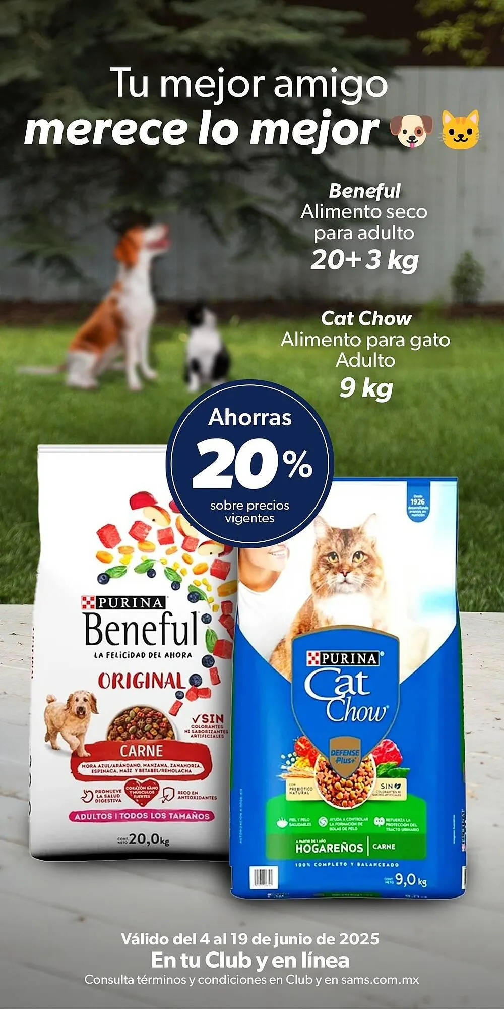 Catálogo de Catálogo Sam's Club 12 de junio al 19 de junio 2025 - Pagina 1