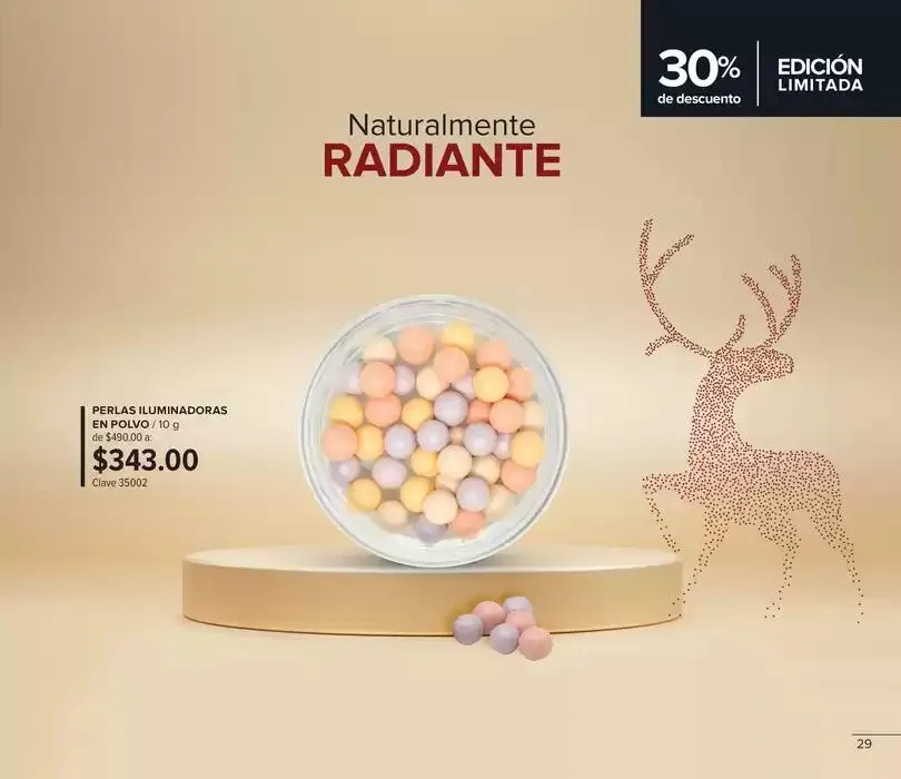 Catálogo de Folleto de mes 4 de noviembre al 30 de noviembre 2024 - Pagina 29