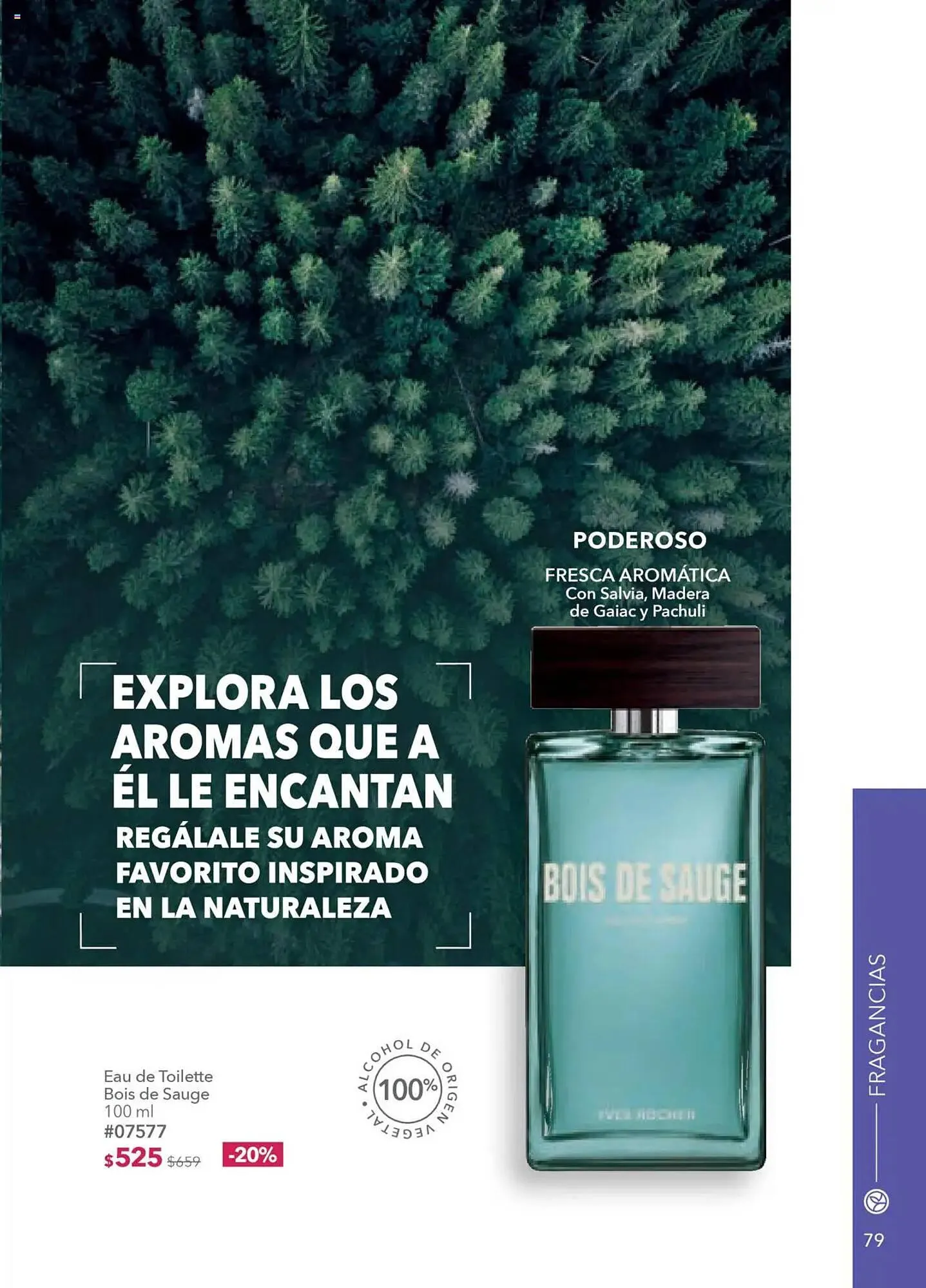 Catálogo de Catálogo Yves Rocher 15 de julio al 5 de agosto 2025 - Pagina 81