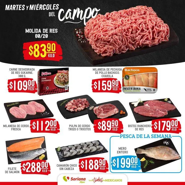 Catálogo de Martes y Miércoles del Campo Híper 28 de agosto al 29 de agosto 2024 - Pagina 3