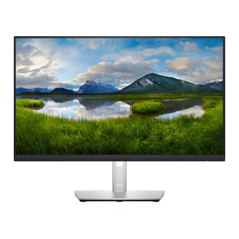 Monitor Dell P2422H LCD 23.8" / Full HD / HDMI / Negro con Plata / P2422H