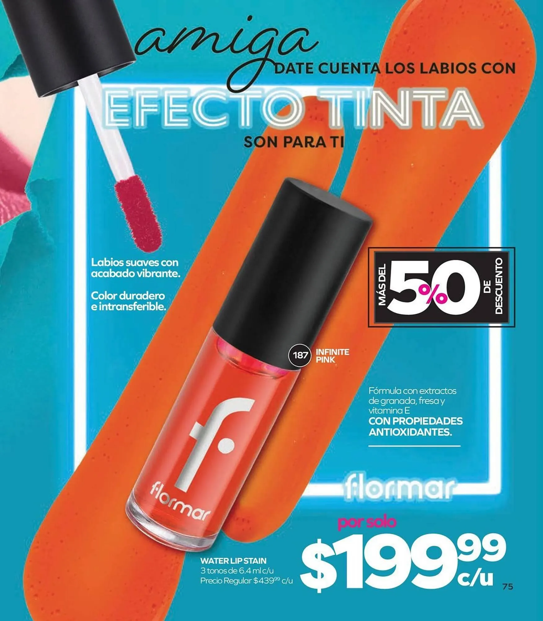 Catálogo de Catálogo Stanhome 19 de enero al 6 de febrero 2026 - Pagina 77