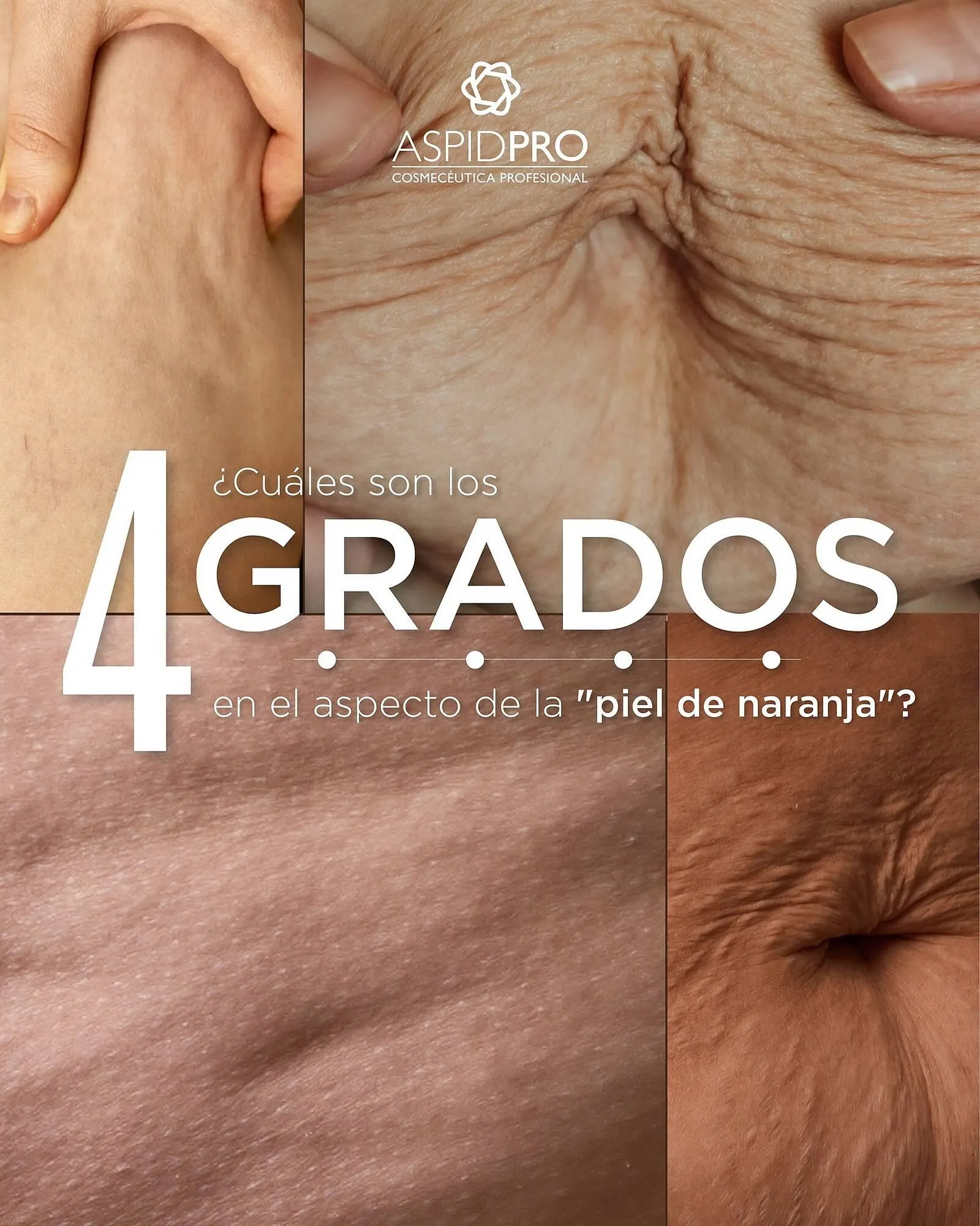 Catálogo AspidPro - 1