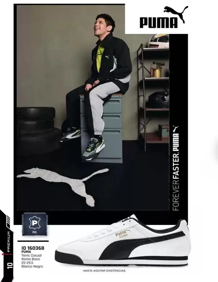 Catálogo de IMP PREMIUM  16 de diciembre al 16 de marzo 2025 - Pagina 10