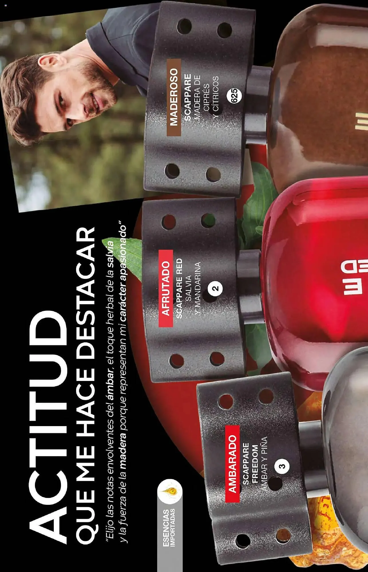 Catálogo de Catálogo Fuller 7 de enero al 28 de enero 2026 - Pagina 4