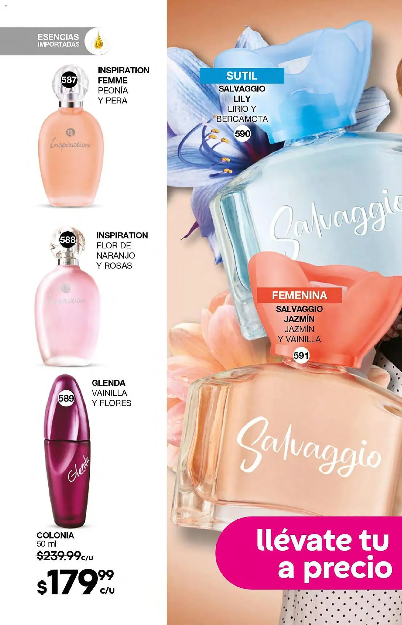 Catálogo de Catálogo Fuller 21 de enero al 10 de febrero 2026 - Pagina 190