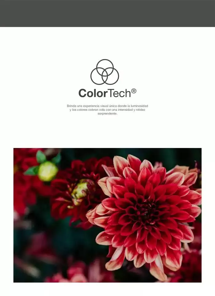 Catálogo de Colección de Pisos y Azulejos 7 de febrero al 7 de febrero 2026 - Pagina 9