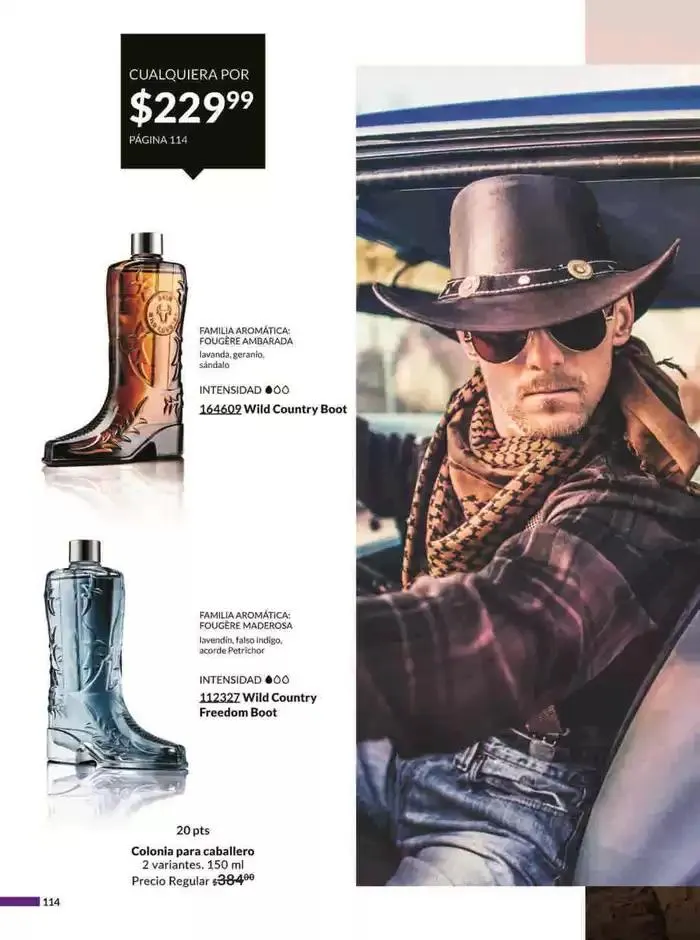 Catálogo de Avon COSMÉTICOS C6 6 de marzo al 9 de abril 2025 - Pagina 106