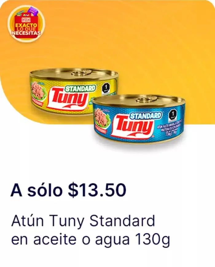 Catálogo de Gangas exclusivas 7 de abril al 14 de mayo 2025 - Pagina 22