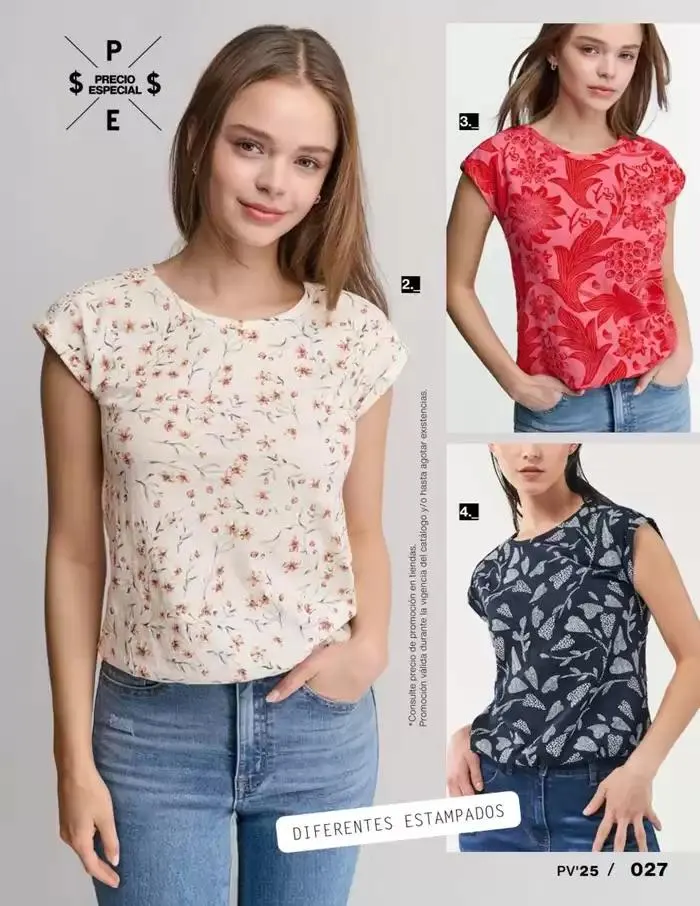 Catálogo de BASICOS | PRI-VER | 2025 | 1E 27 de enero al 30 de septiembre 2025 - Pagina 29