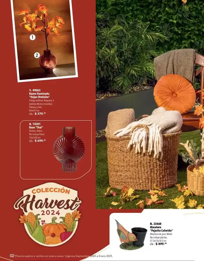 Catálogo de Colección Harvest 2024 8 de octubre al 31 de enero 2025 - Pagina 4
