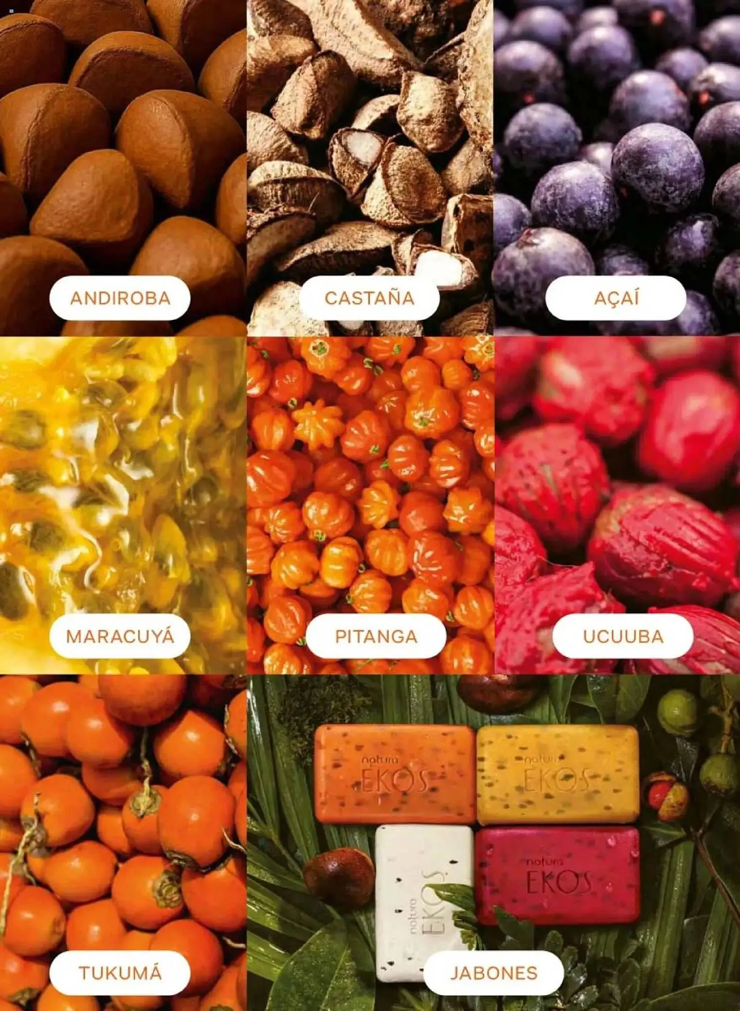 Catálogo de Catálogo Natura 24 de abril al 28 de mayo 2026 - Pagina 110