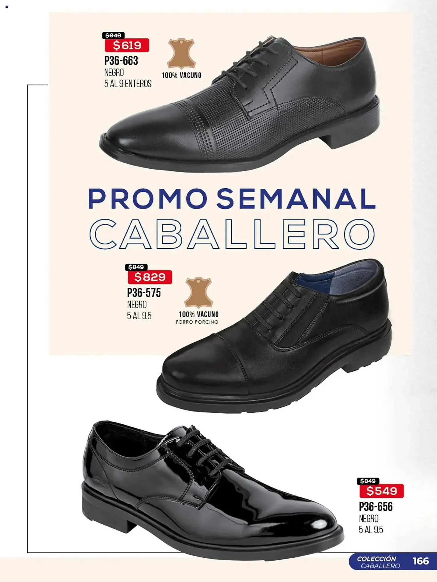 Catálogo de Catálogo Cklass 19 de febrero al 1 de marzo 2026 - Pagina 167