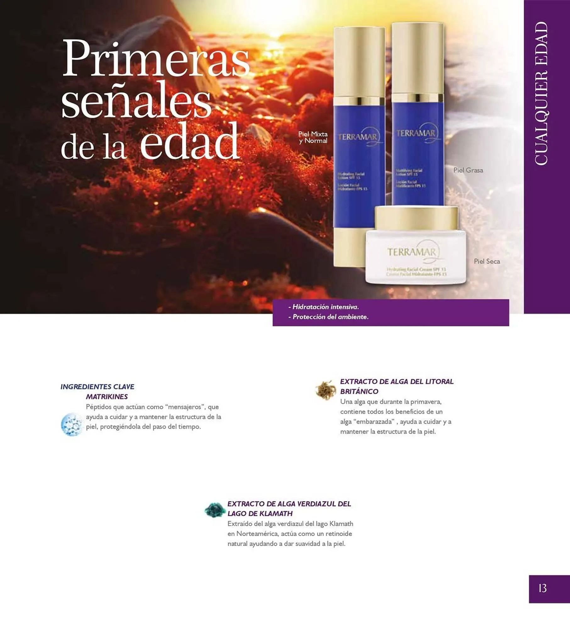 Catálogo de Catálogo Terramar Brands 5 de agosto al 31 de diciembre 2025 - Pagina 13