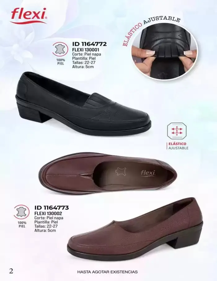 Catálogo de FLEXI | ACO | 2025 | 1E 1 de abril al 30 de abril 2025 - Pagina 2