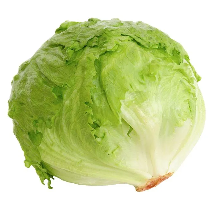 LECHUGA ROMANA 1 PZA.