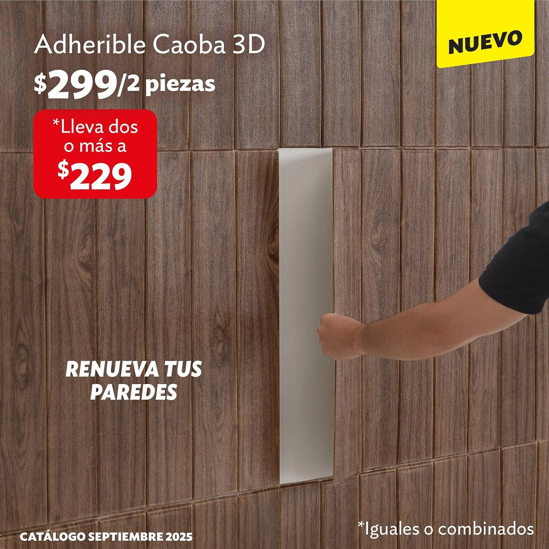 Catálogo de Catálogo BetterWare 10 de septiembre al 30 de septiembre 2025 - Pagina 3