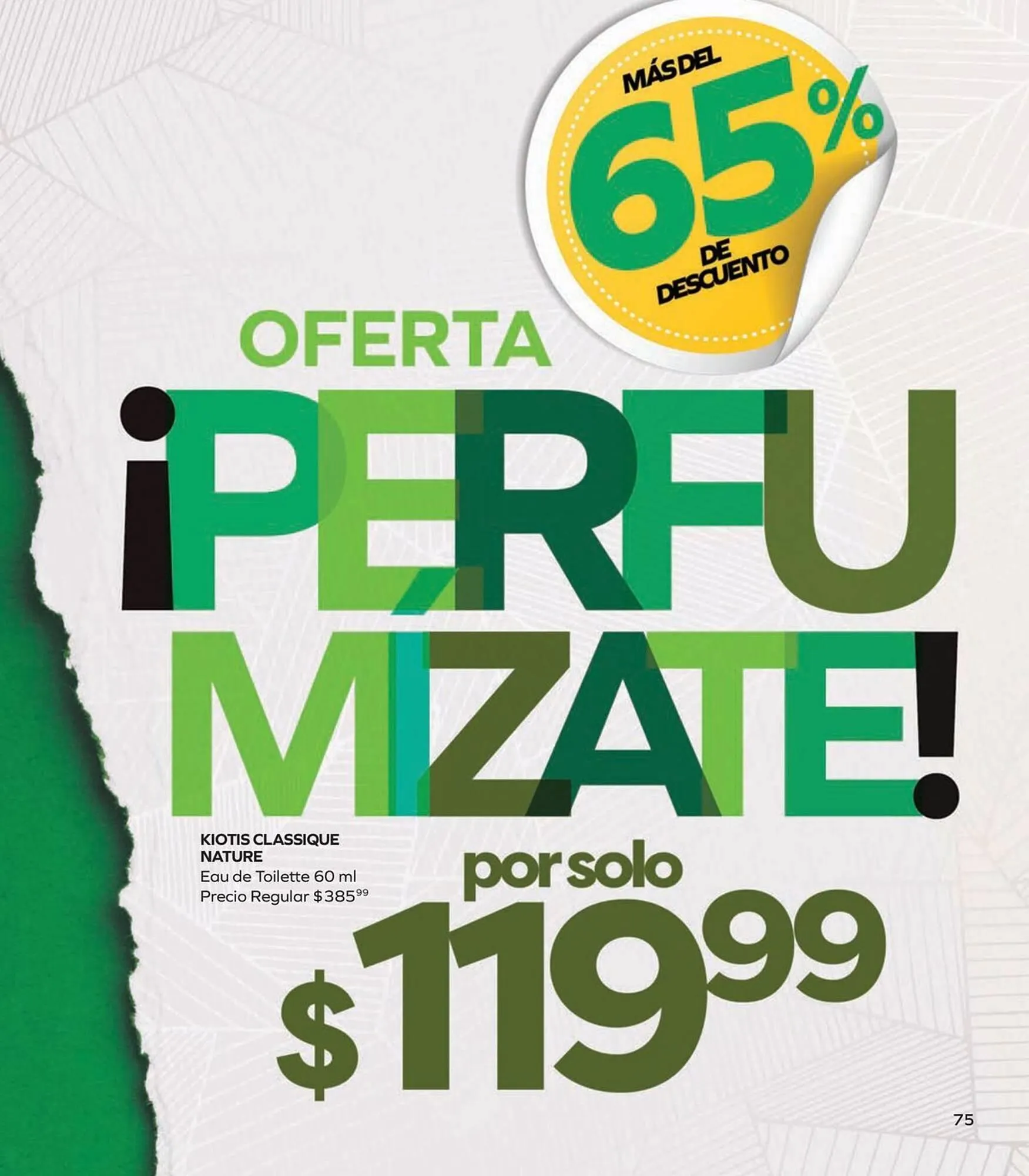 Catálogo de Catálogo Stanhome 6 de enero al 17 de enero 2026 - Pagina 81