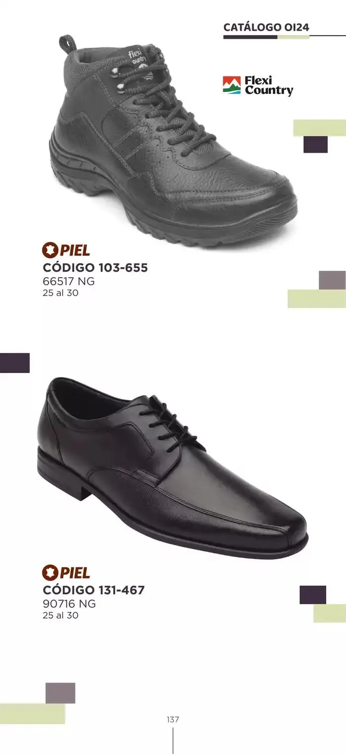 Catálogo de Pakar Flexi 23 de octubre al 31 de enero 2025 - Pagina 137