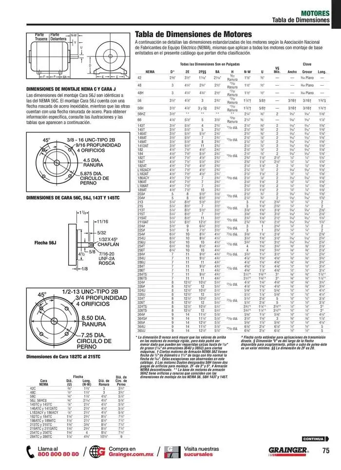 Catálogo de Catálogo 2025 2 de abril al 31 de diciembre 2025 - Pagina 41